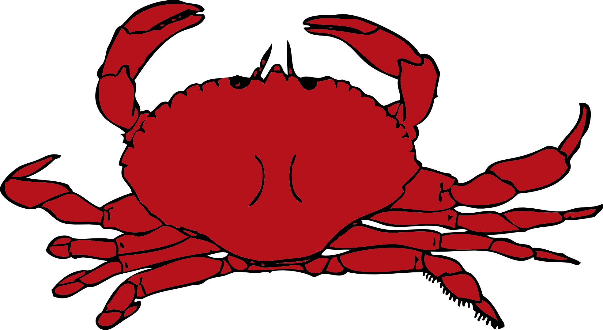 Shrimp Clipart Crustacean - Crab Clipart (1969x1077), Png Download
