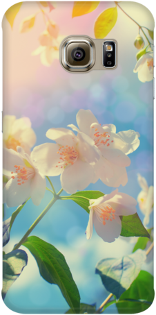 Blossom Phone Case - Die Magie Des Moments – Entspannungsübung Für Achtsamkeit (480x480), Png Download