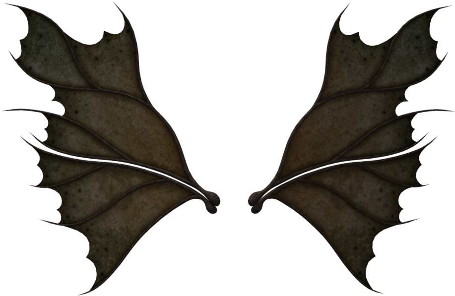Fairy Wings - Black Fairy Wings Png (1024x639), Png Download