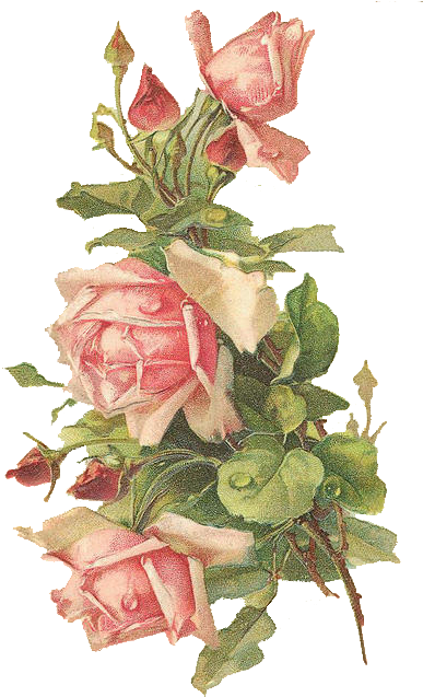 Grab Them All For Summer Rose Crafting - Rose With Transparent Background (407x640), Png Download