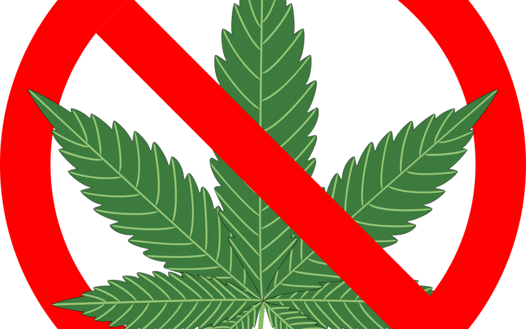 Are Cannabis Laws Paternalistic - Reasons Not To Smoke Marijuana: The Complete (1080x675), Png Download
