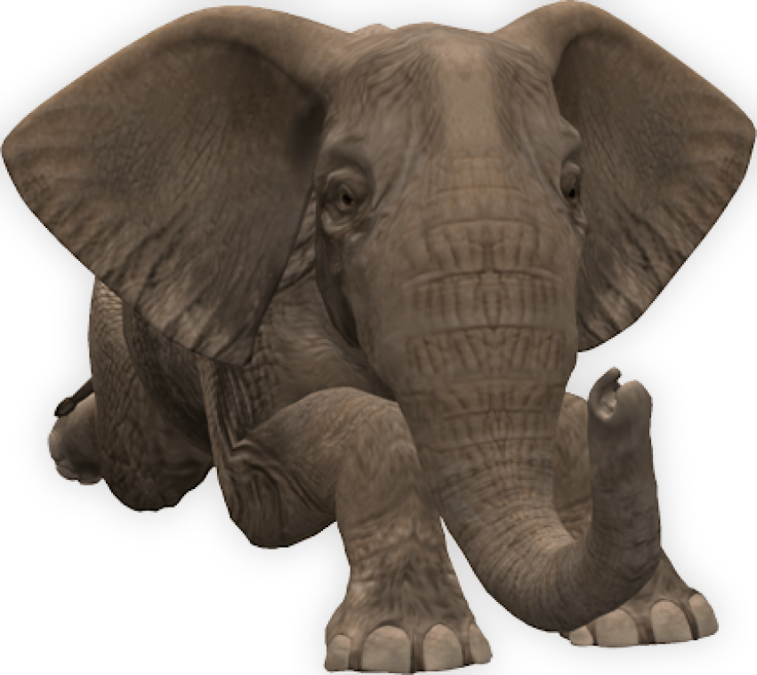 Elephant-down - Elephant Png (415x370), Png Download