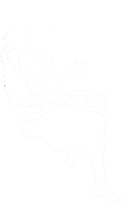 Oils, Sumi-inks, Watercolors - Silhouette (400x661), Png Download