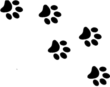 Cat Paws Gif - Cat Paw Prints Transparent (355x355), Png Download