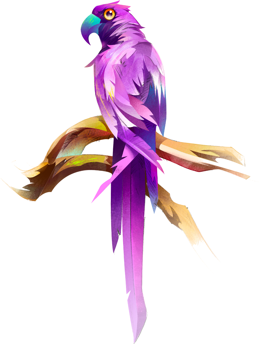 Animus - Bird (1266x1666), Png Download