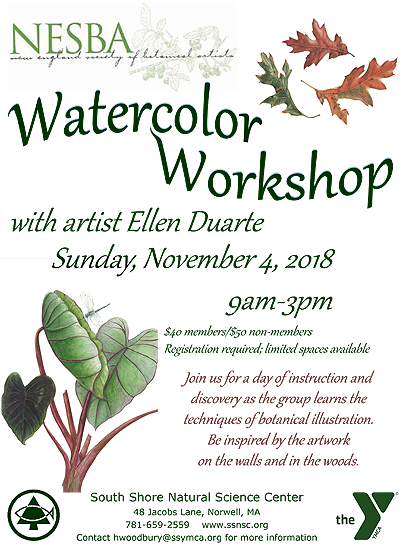Watercolor Workshop With Artist Ellen Duarte - Jasmine (450x544), Png Download