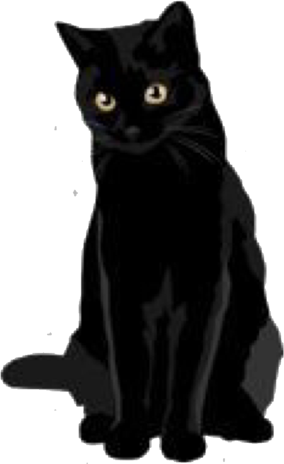 Blackcat Black Cats Darkart Dark Tumblr Freetoedit - How To Train Your Dragon (1024x1121), Png Download