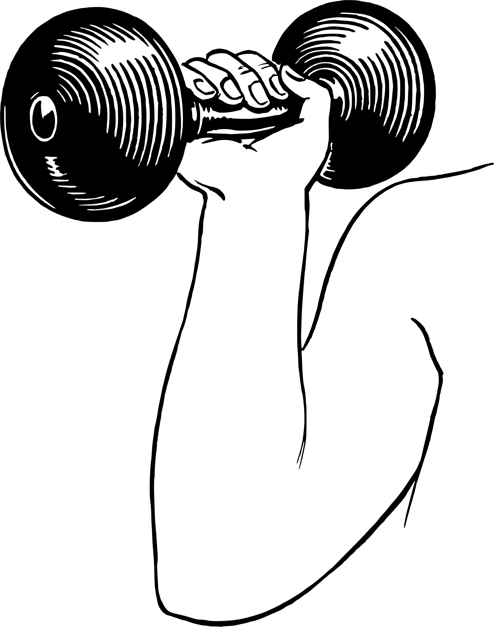 Dumbbell Png (1891x2400), Png Download