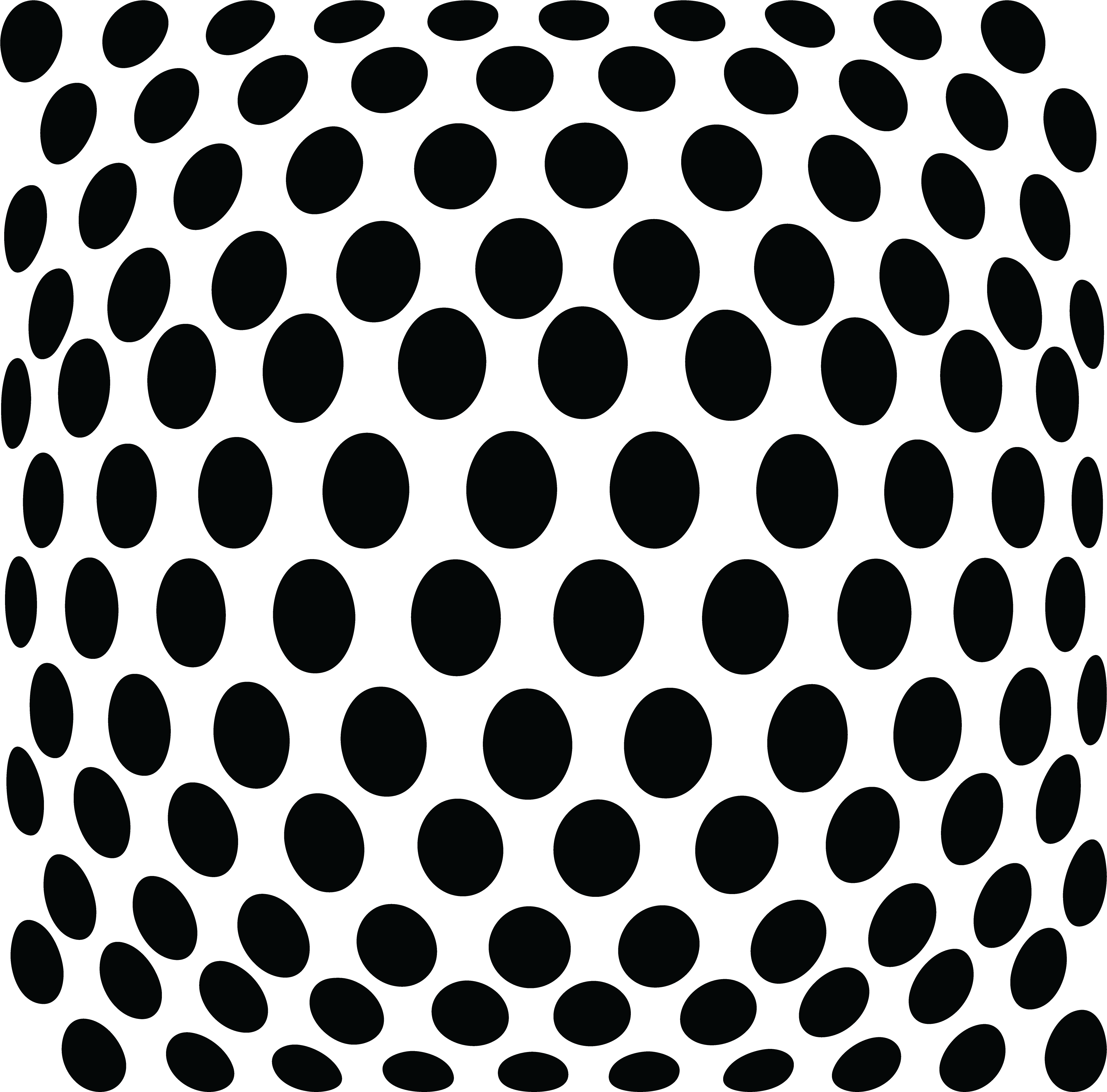 Black Dots - Stevie Nicks Menlo Atherton (4125x4035), Png Download