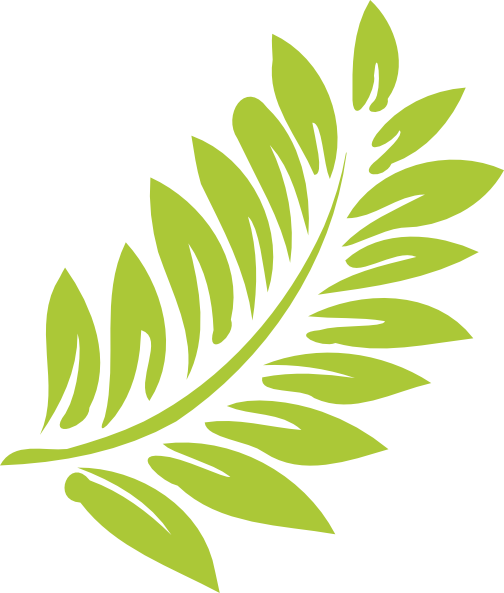 Hibiscus Leaf Png Transparent Hibiscus Leaf - Hawaiian Flower Clipart Png (504x593), Png Download