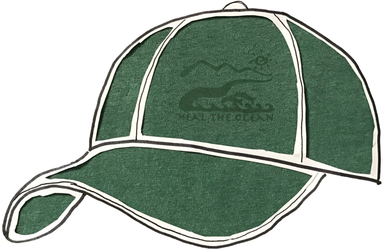 Img 7482-hat (1000x955), Png Download