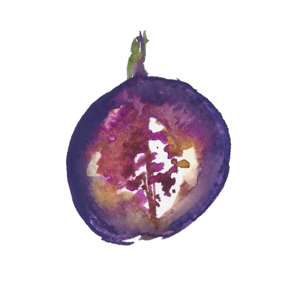 Recipes - Pitaya (768x759), Png Download