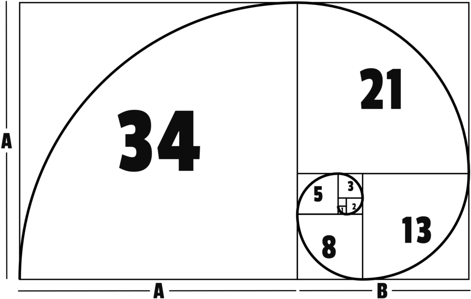 Download HD Golden Ratio Photonerds - Golden Ratio Rules Transparent ...