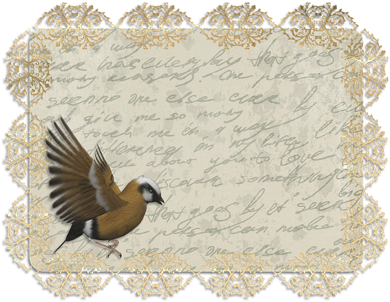 Tag, Vintage, Label, Old, Antique, Lace, Lettering - 80 Jaar Man Kaart (566x438), Png Download