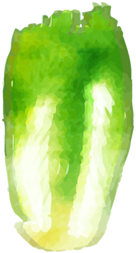 Big Boston Lettuce - Bell Pepper (600x600), Png Download