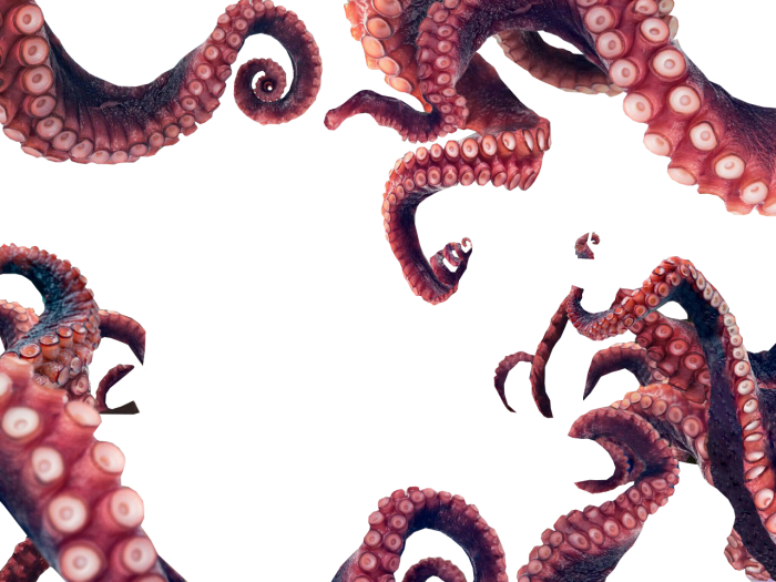 Octopus Sticker By Annetilis Clipart Free Library - Transparent Octopus Tentacles Png (700x525), Png Download