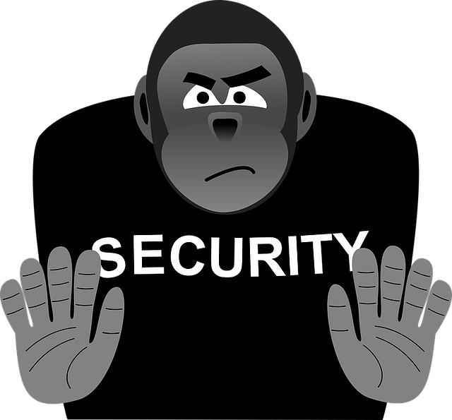 Lil Jon - Compliancesigns Aluminum Security Camera Sign 14 X (640x595), Png Download