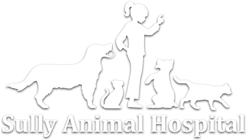 Sully Animal Hospital (520x300), Png Download
