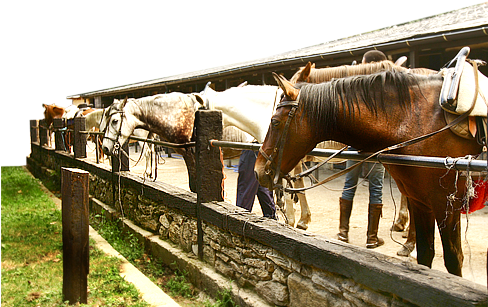 Interior De Alojamientos Rurales Pedrazales - Pedrazales De Sanabria (487x314), Png Download