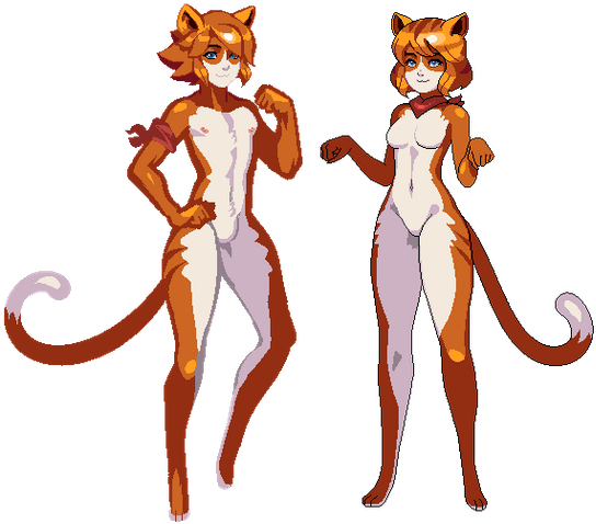 Cats - Wiki (620x522), Png Download