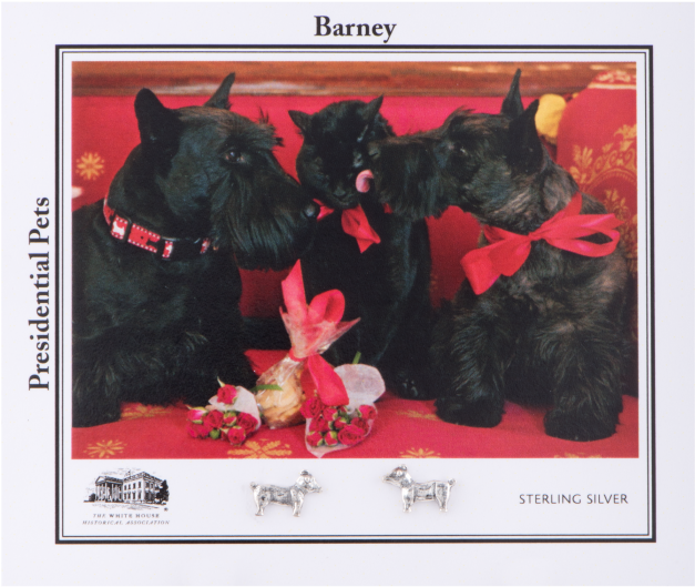 More Views - White House Historical Association Barney Earrings (700x700), Png Download