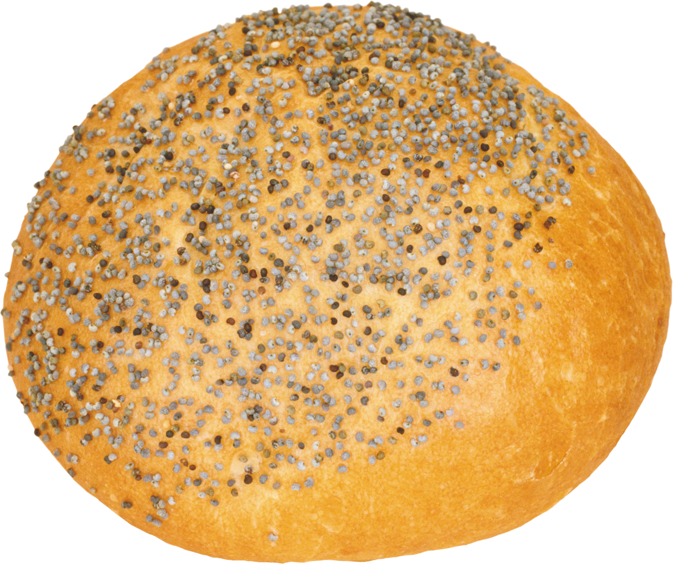 Bun Png Image - Булка Png (1324x1110), Png Download