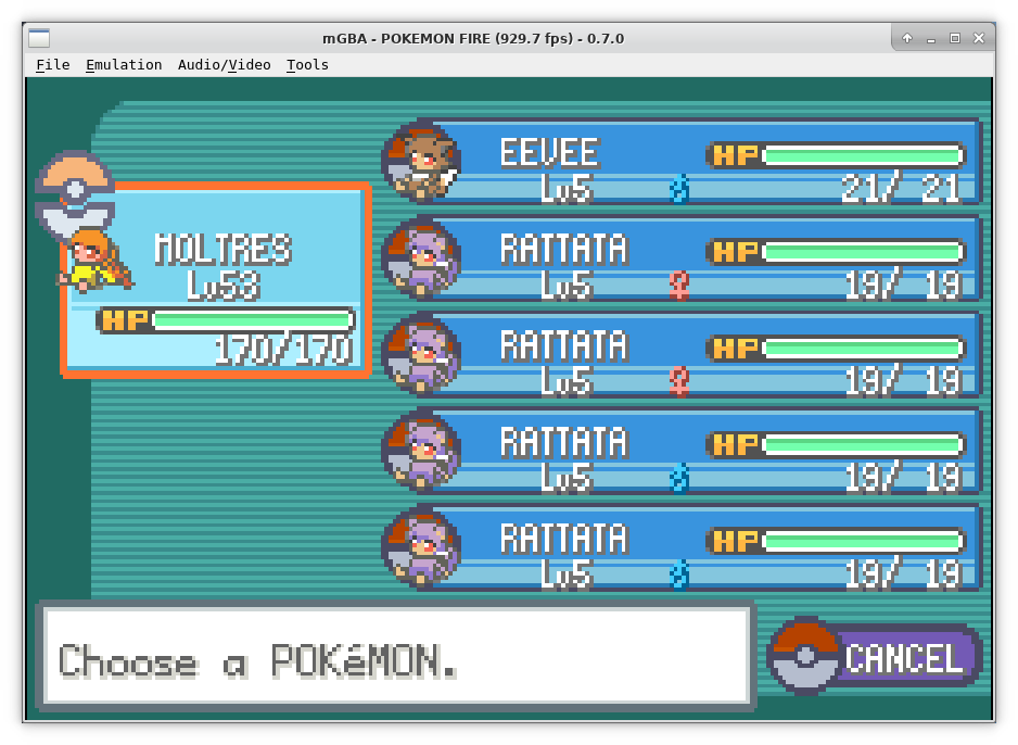 3nigmatico 🔰 - Pokemon Leaf Green Team (938x686), Png Download