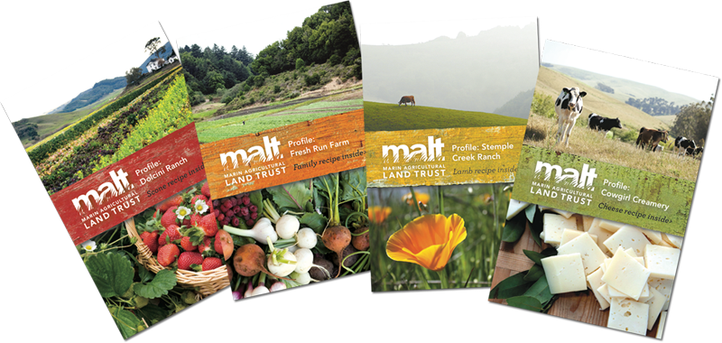 Malt Pocket Brochures (800x380), Png Download