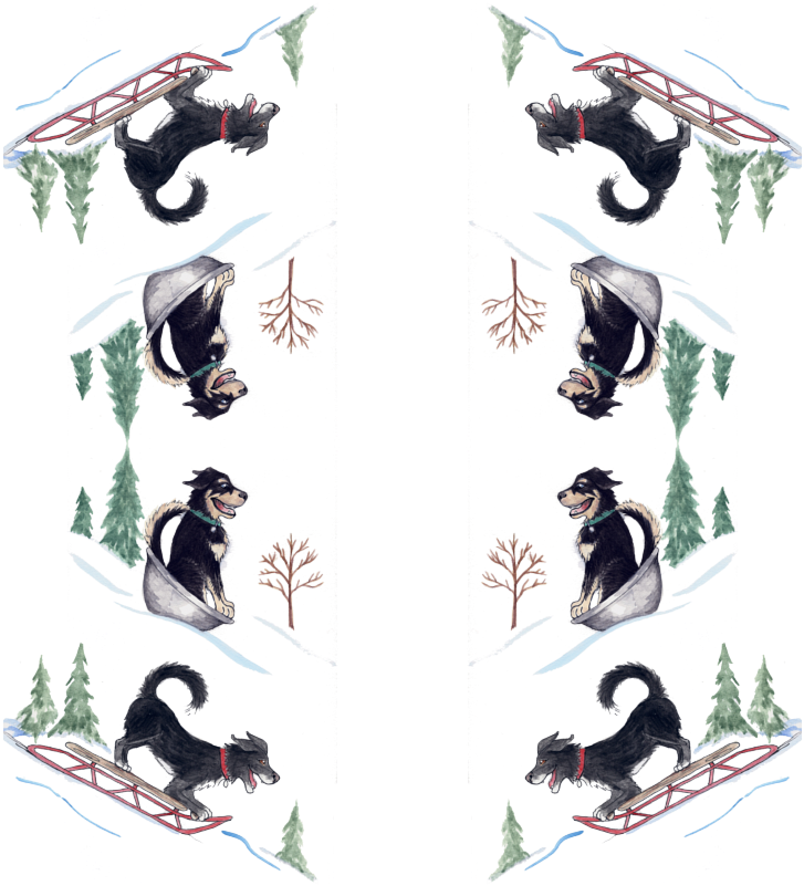 Dog (800x800), Png Download