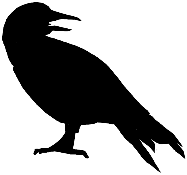 Morrigan Crow - Canary Silhouette (1000x1000), Png Download