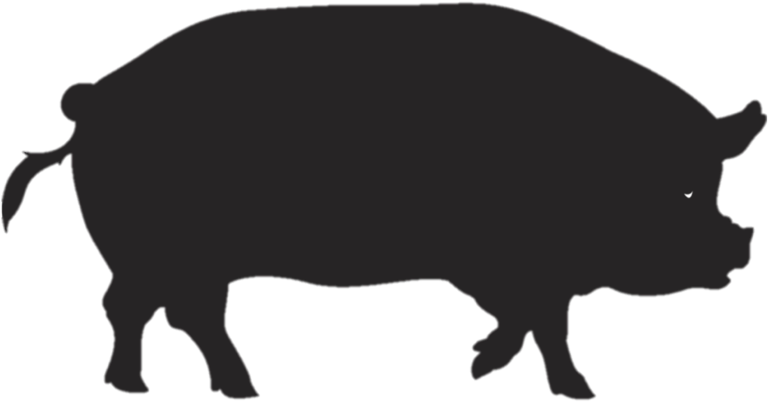Pork Clipart Pig Tail - Icono Jabali (1024x767), Png Download