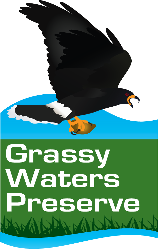 Grassy Waters Logo - Grassy Waters Preserve Logo (646x1038), Png Download