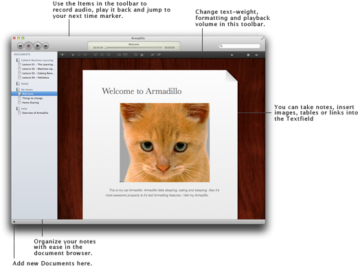 Armadillooverview - Pussy Cat: Labyrinths [book] (527x400), Png Download