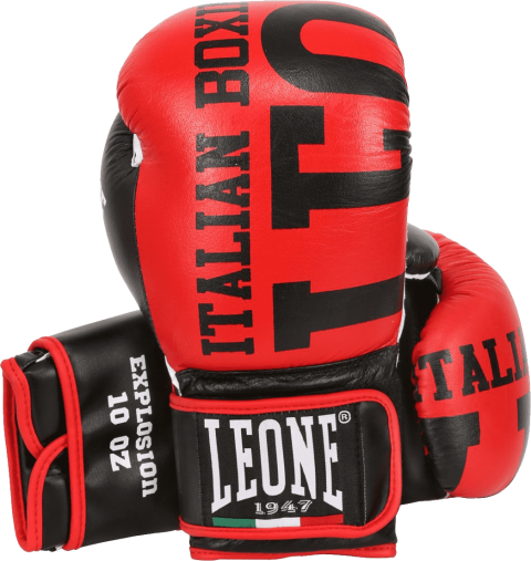 Free Png Boxing Glove Png Images Transparent - Raymond Daniels Signed Glory Kickboxing Fight Glove (480x507), Png Download