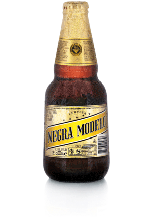 Grupo Modelo (293x600), Png Download