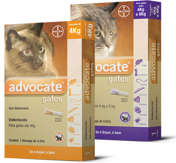 Advocate® Gatos - Mata Pulga De Gato (600x551), Png Download
