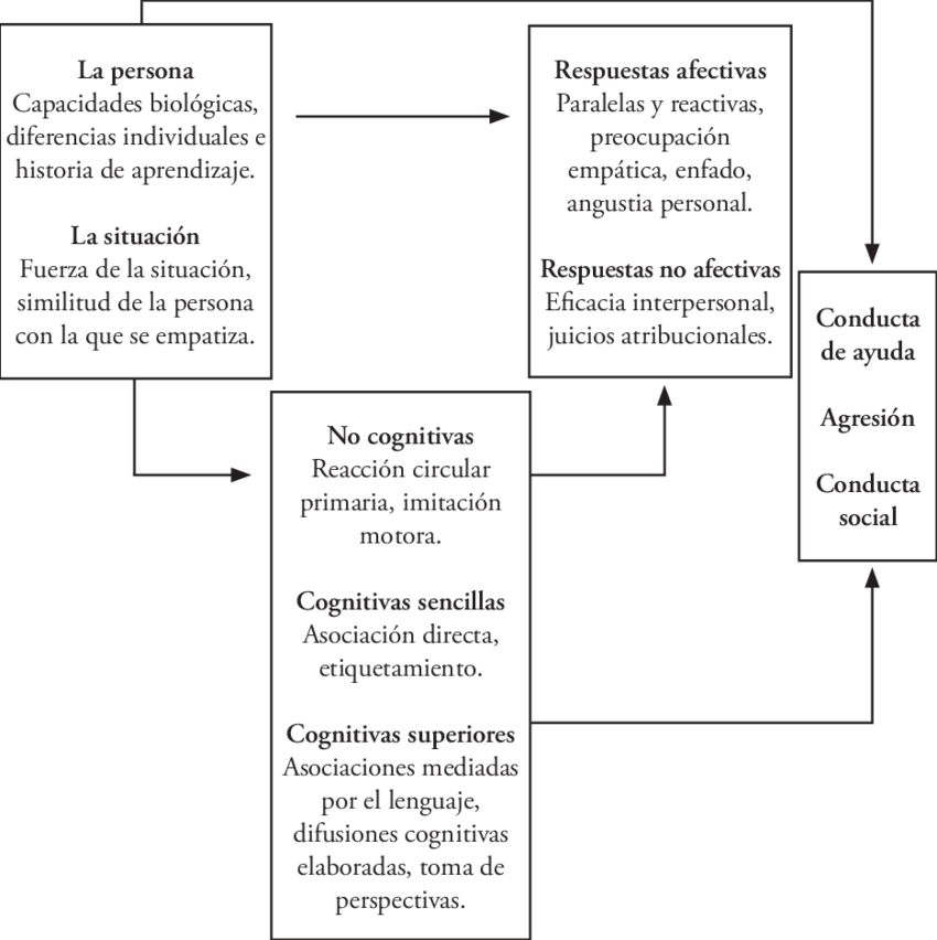 Modelo Organizacional De Davis (850x852), Png Download