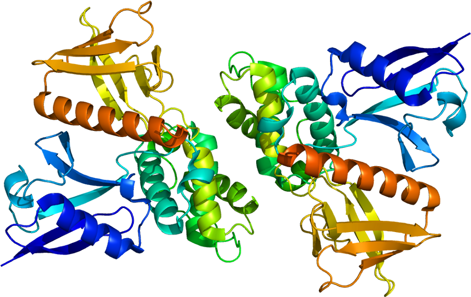 Nf2 Protein (968x630), Png Download