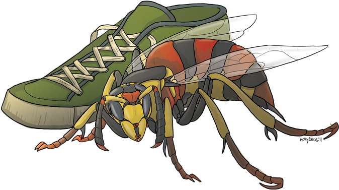 Biology - Apraxis Wasp (700x446), Png Download