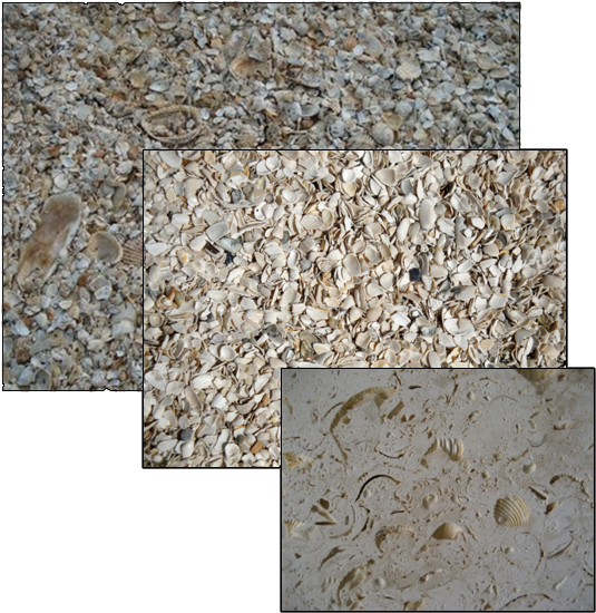 Images Of Tabby Finish - Gravel (547x557), Png Download