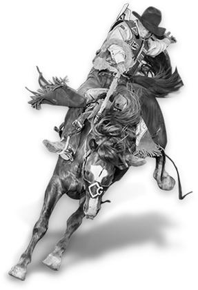 Cowboy News - Professional Bull Riders (300x424), Png Download
