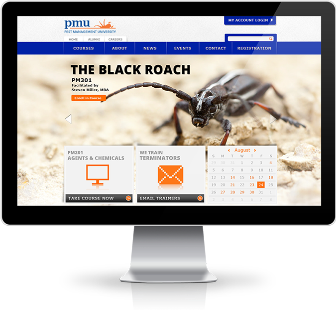 Uf Website Mockup - Web Design Instagram (1000x632), Png Download