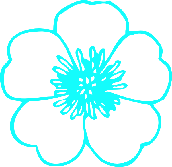 Buttercup Teal (600x582), Png Download
