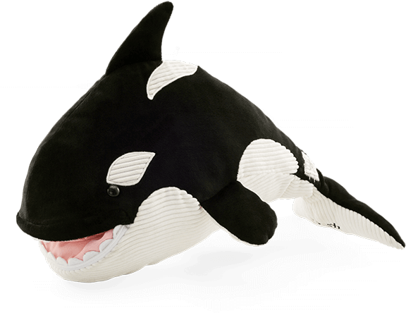 Ory The Orca - Ory The Orca Scentsy Buddy (600x600), Png Download