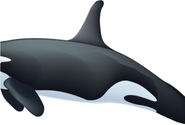 Inflatable (640x480), Png Download