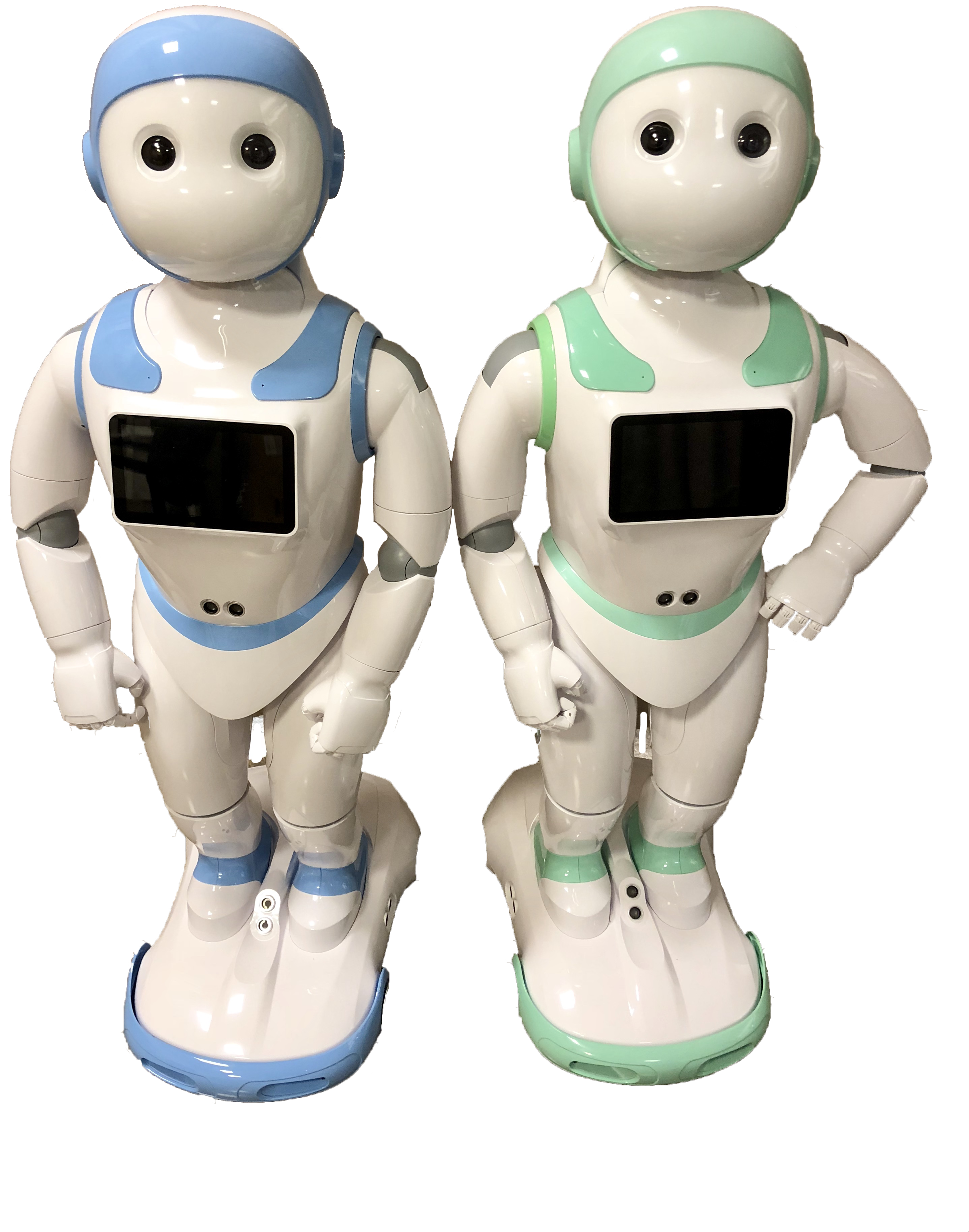 The Interaction Lab Currently Has 2 Ipals, Which Are - Cartoon (3024x4032), Png Download
