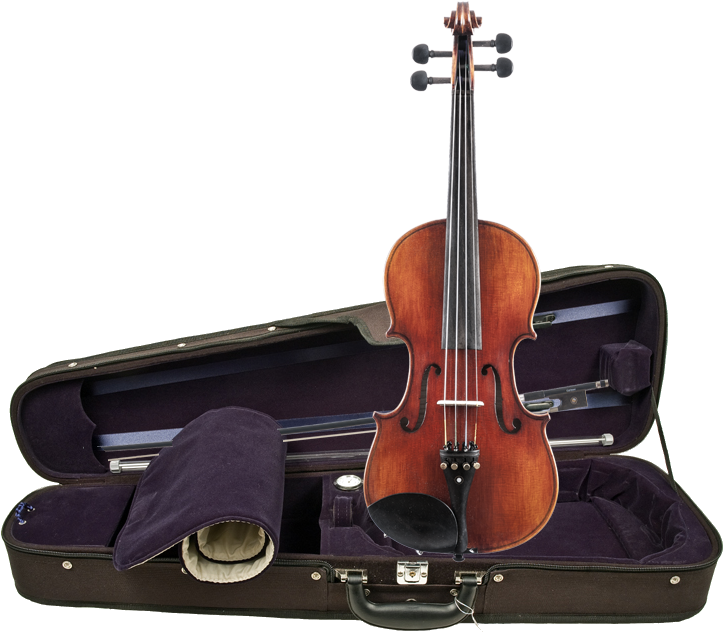 Wolfganggunther Vascc155 Sacconi - Violin (764x647), Png Download