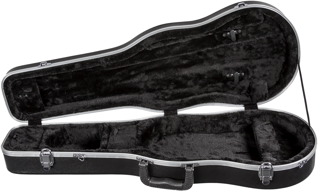 Economy Thermoplastic Shaped Viola Case - Violin (1064x640), Png Download