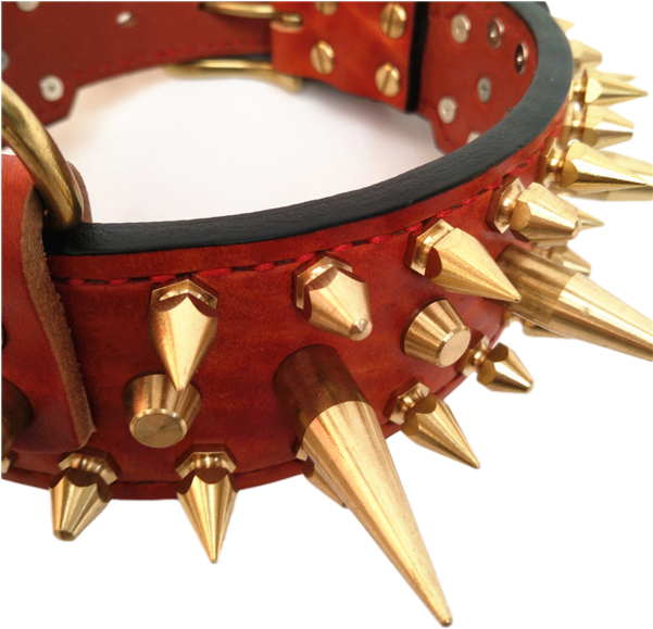 Dog Collar (600x600), Png Download