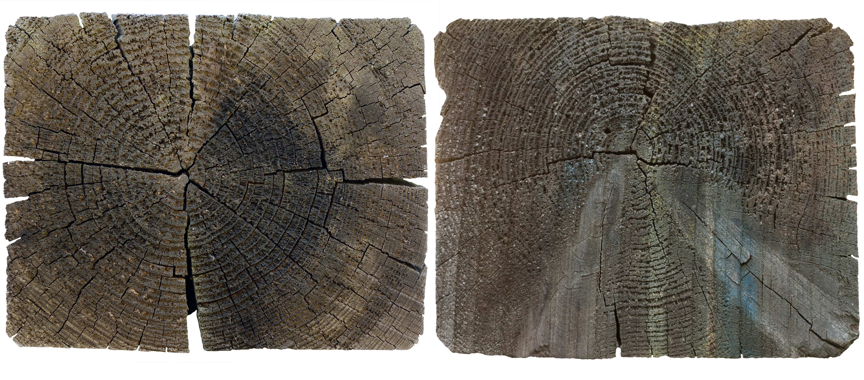 Wood End 19 - Cushion (3000x1500), Png Download